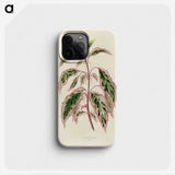 1-12_New-and-Rare-Beautiful-Leaved-Plants_phone