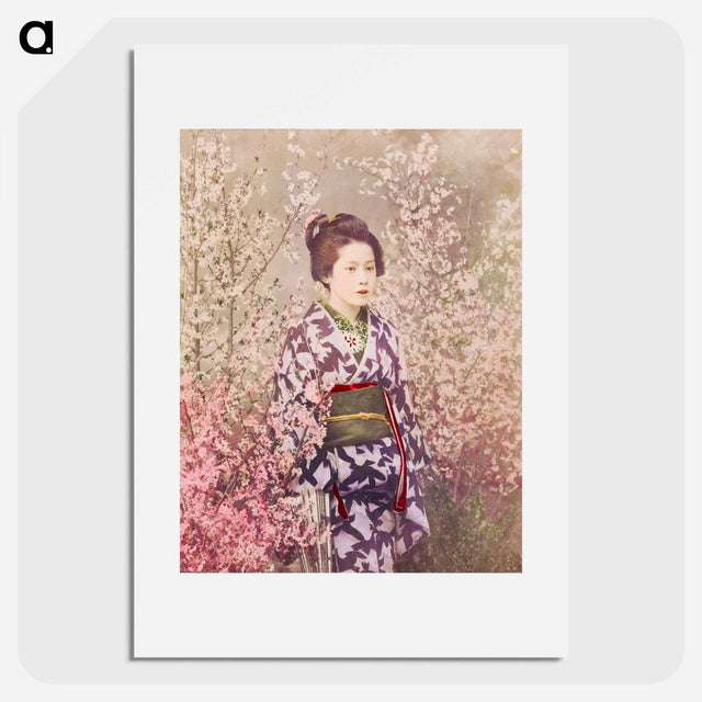 小川一真のアートポスター・パネル『芸者と桜(Geisha and Cherry Blossom)』