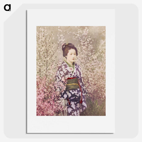 1-12_Ogawa-Kazumasa_picture