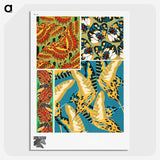 1-12_Papillons_picture-crop