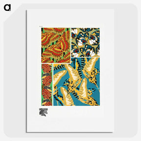 1-12_Papillons_picture
