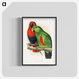 1-12_Parrots-in-Captivity_blk-crop