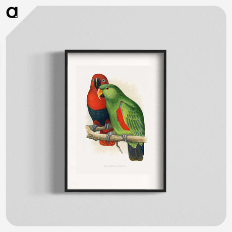 1-12_Parrots-in-Captivity_blk