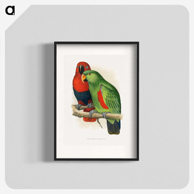 1-12_Parrots-in-Captivity_blk