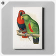 1-12_Parrots-in-Captivity_canvas