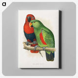 1-12_Parrots-in-Captivity_canvas