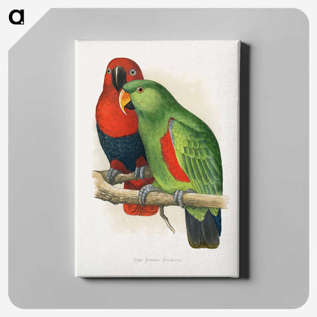 1-12_Parrots-in-Captivity_canvas