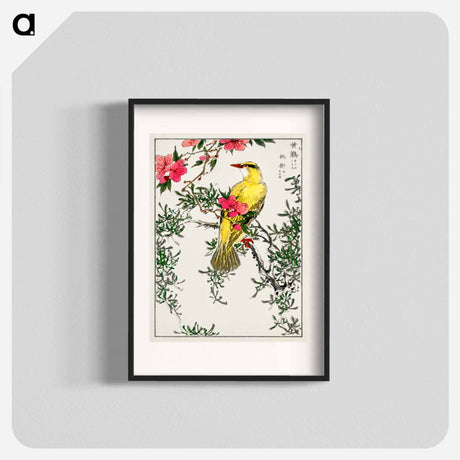 アートポスター-Chinese Bush-warbler and Drooping Peach
 - 鳥類図鑑 Poster.
