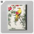 アートパネル-Chinese Bush-warbler and Drooping Peach
 - 鳥類図鑑 Canvas.