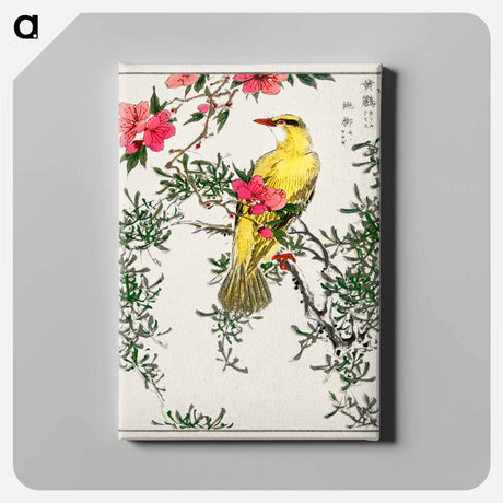 アートパネル-Chinese Bush-warbler and Drooping Peach
 - 鳥類図鑑 Canvas.