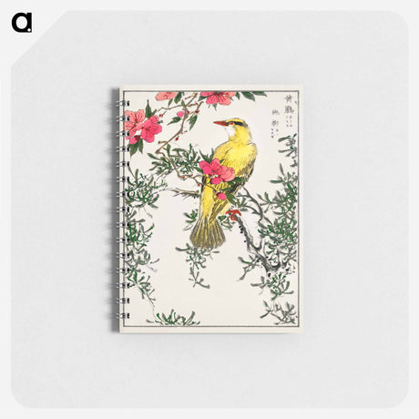 アートメモ帳-Chinese Bush-warbler and Drooping Peach
 - 鳥類図鑑 Memo.