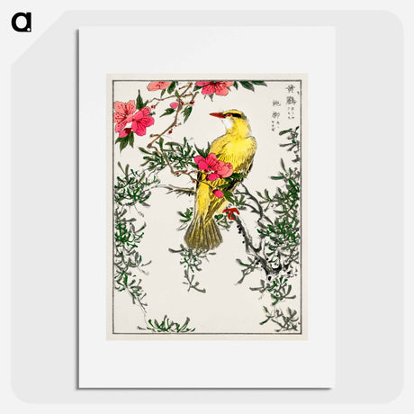 アートポスター-Chinese Bush-warbler and Drooping Peach
 - 鳥類図鑑 Poster.