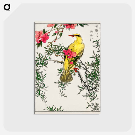 アートポストカード-Chinese Bush-warbler and Drooping Peach
 - 鳥類図鑑 Postcard.