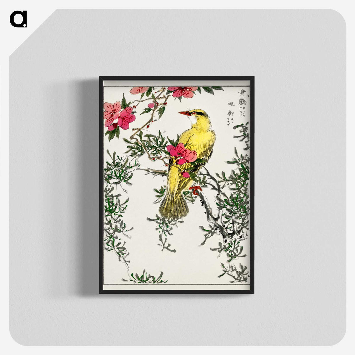 1-12_Pictorial-Monograph-of-Birds_blk-crop