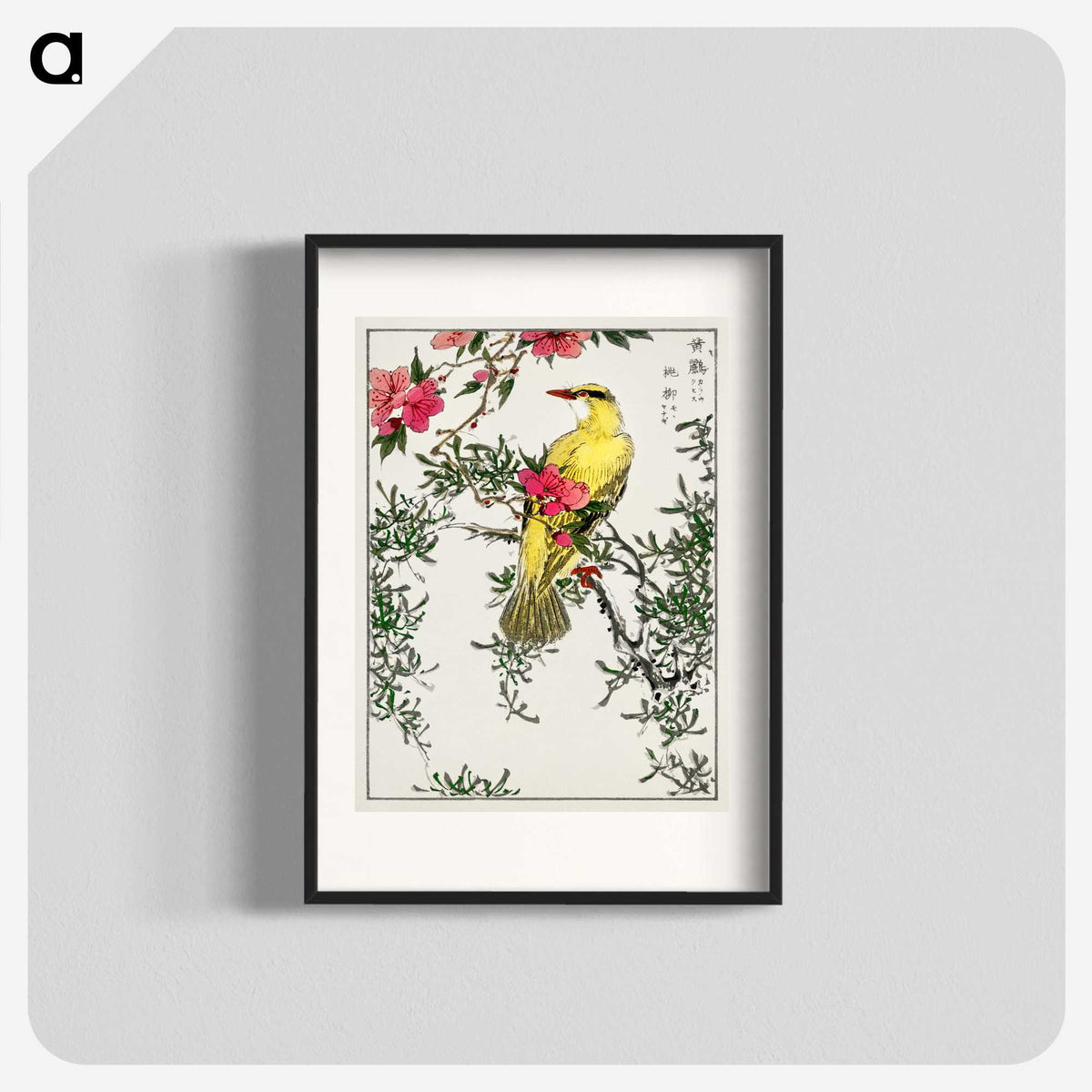 1-12_Pictorial-Monograph-of-Birds_blk