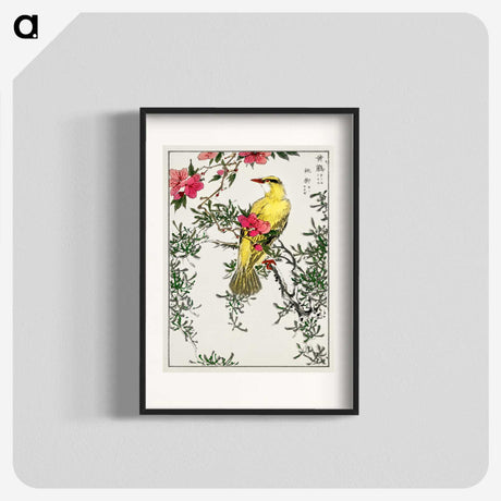 1-12_Pictorial-Monograph-of-Birds_blk