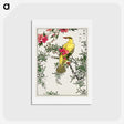 1-12_Pictorial-Monograph-of-Birds_hagaki