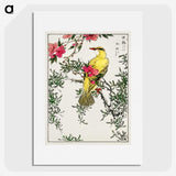 1-12_Pictorial-Monograph-of-Birds_picture