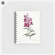 1-12_Pierre-Joseph-Redoute_memo