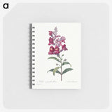 1-12_Pierre-Joseph-Redoute_memo
