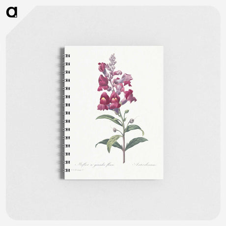 1-12_Pierre-Joseph-Redoute_memo