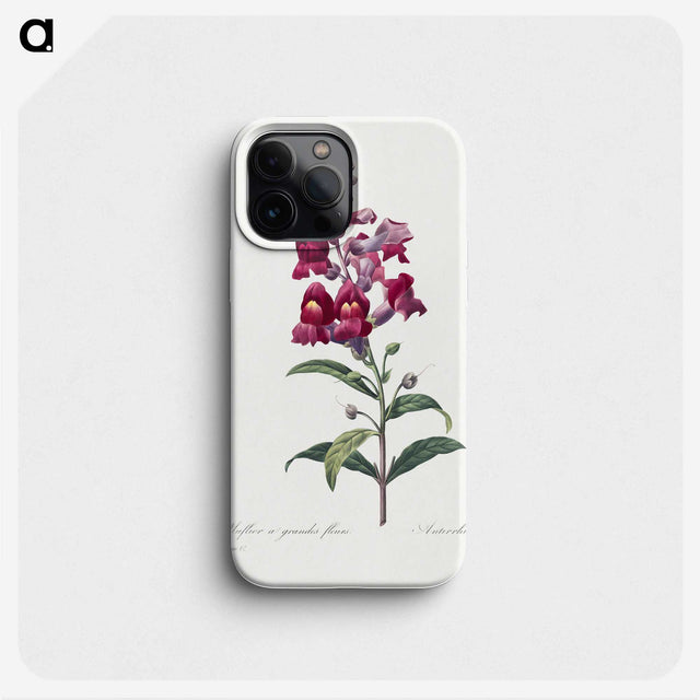 1-12_Pierre-Joseph-Redoute_phone