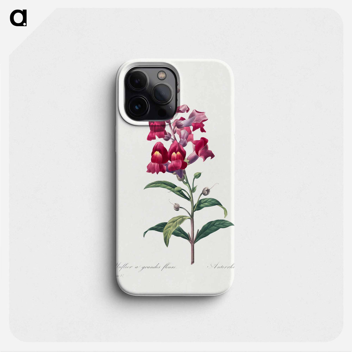 Anterinum - Pierre Joseph Redouté Phone Case.