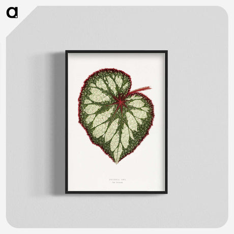 1-12_Plants-with-Colored-Foliage_blk-crop