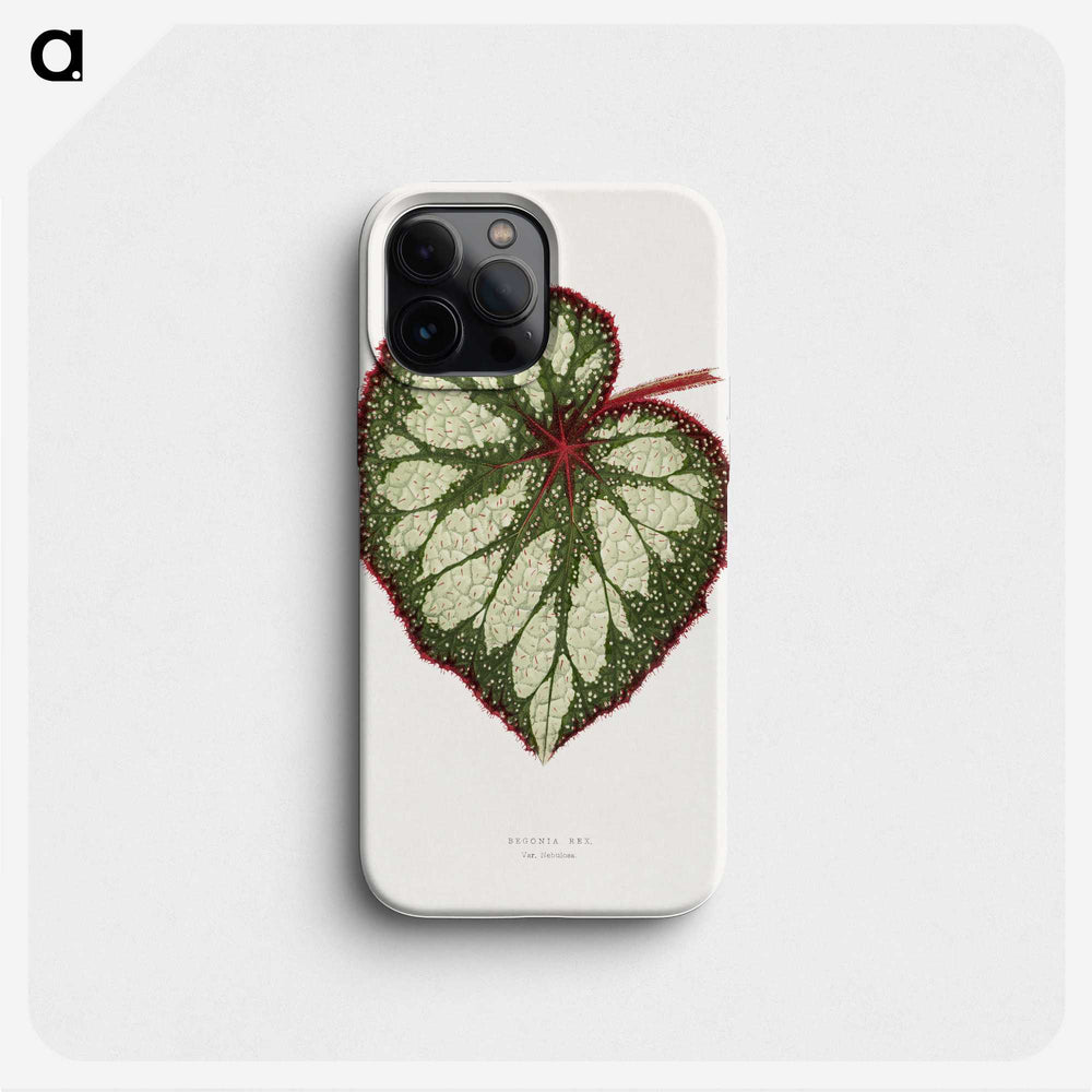 1-12_Plants-with-Colored-Foliage_phone