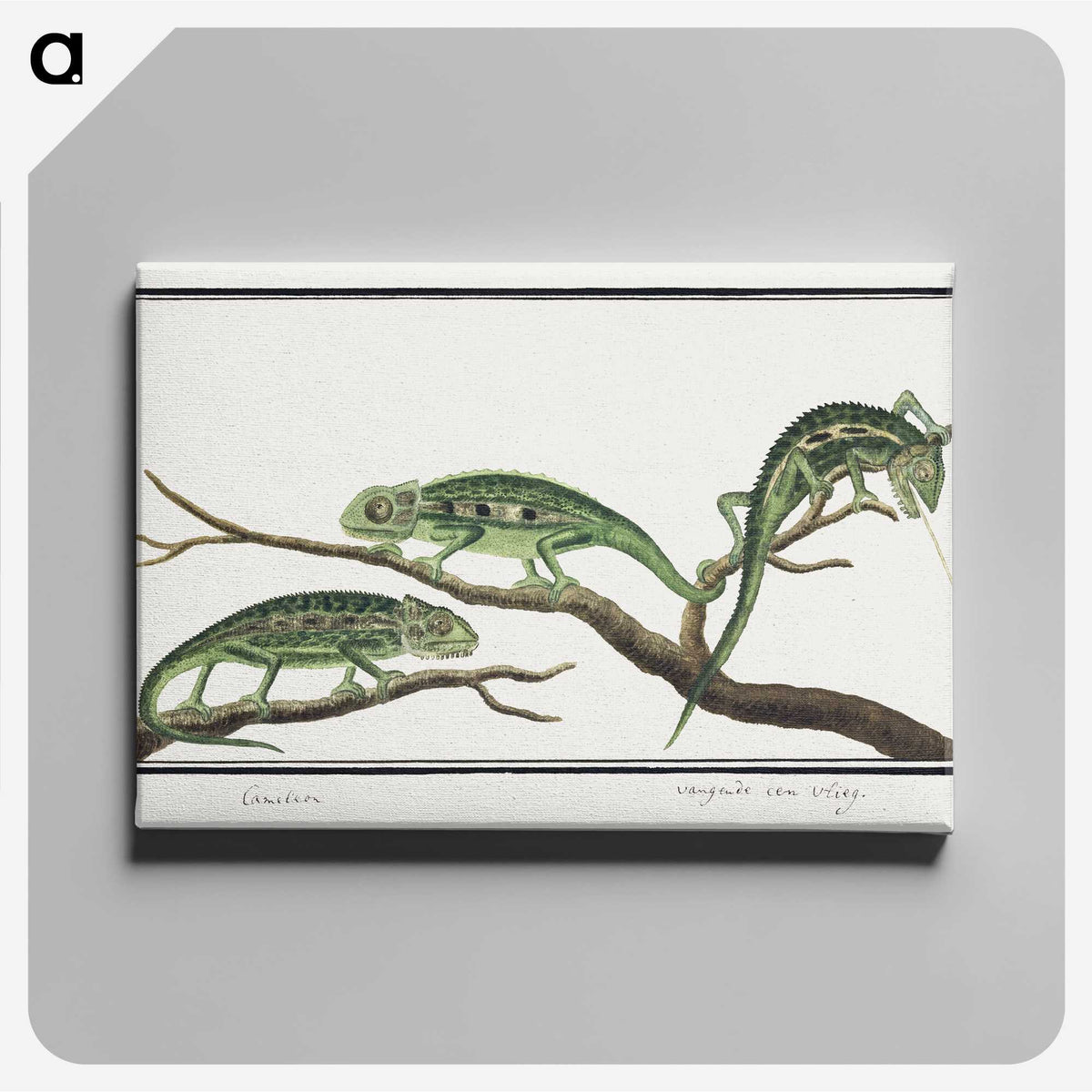 1-12_Robert-Jacob-Gordon_canvas