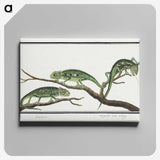 1-12_Robert-Jacob-Gordon_canvas