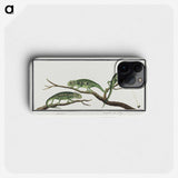 1-12_Robert-Jacob-Gordon_phone