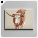 Head of a Cow or Ox - Samuel Coleman Canvas.