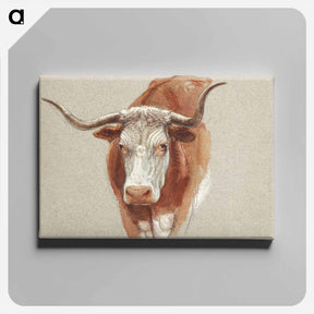 アートパネル-Head of a Cow or Ox - サミュエル コールマン Canvas.
