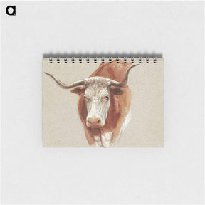 アートメモ帳-Head of a Cow or Ox - サミュエル コールマン Memo.