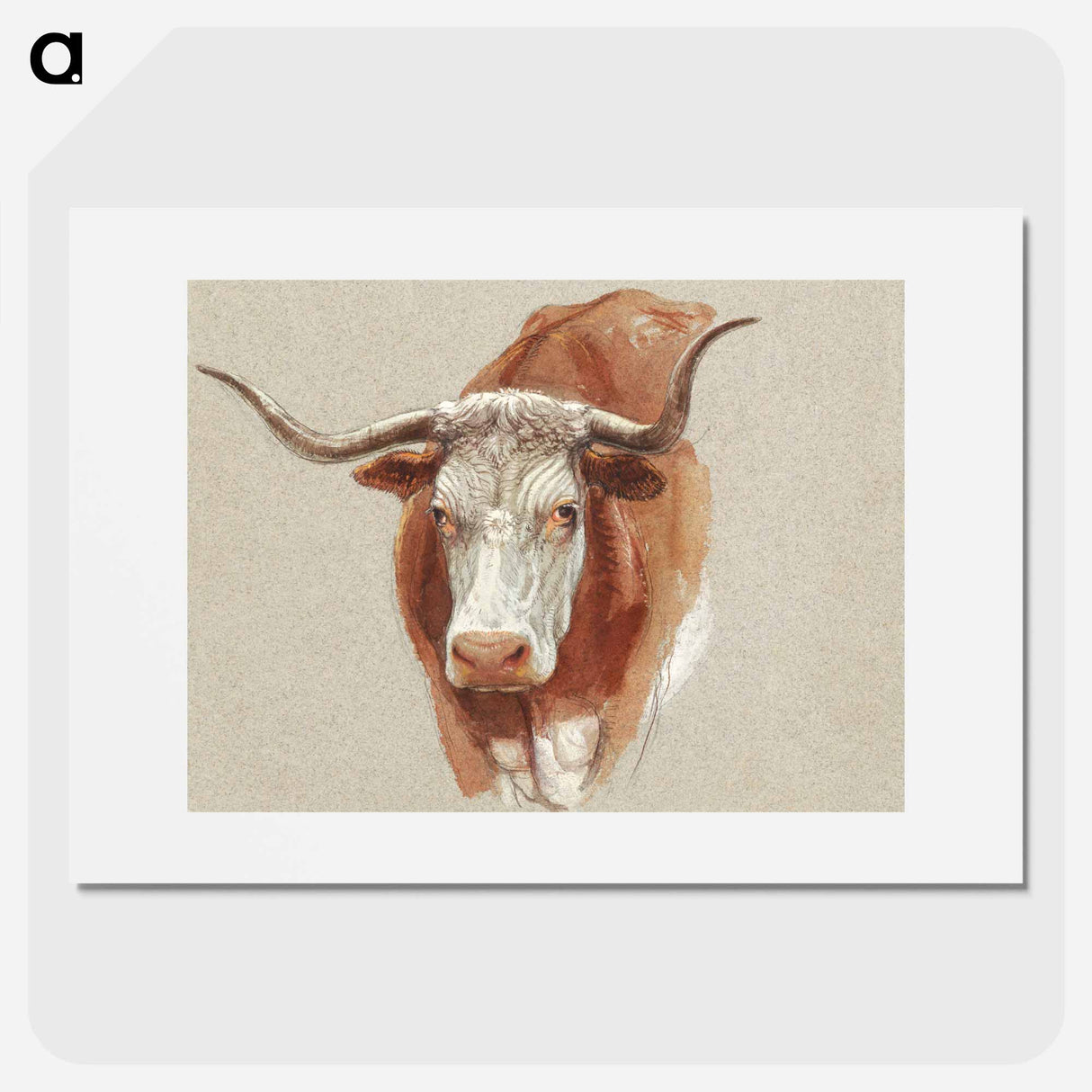 Head of a Cow or Ox - サミュエル コールマン Poster.