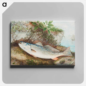 アートパネル-Weakfish
 - サミュエル キルボーン Canvas.