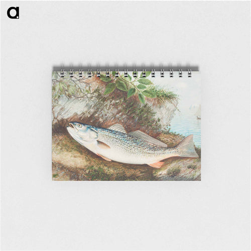 Weakfish
 - サミュエル キルボーン Memo.