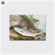 1-12_Samuel-Kilbourne_postcard