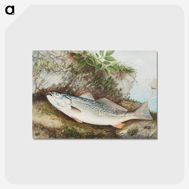 1-12_Samuel-Kilbourne_postcard