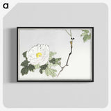 1-12_Seitei-Kacho-Gafu_blk-crop