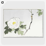 1-12_Seitei-Kacho-Gafu_picture-crop