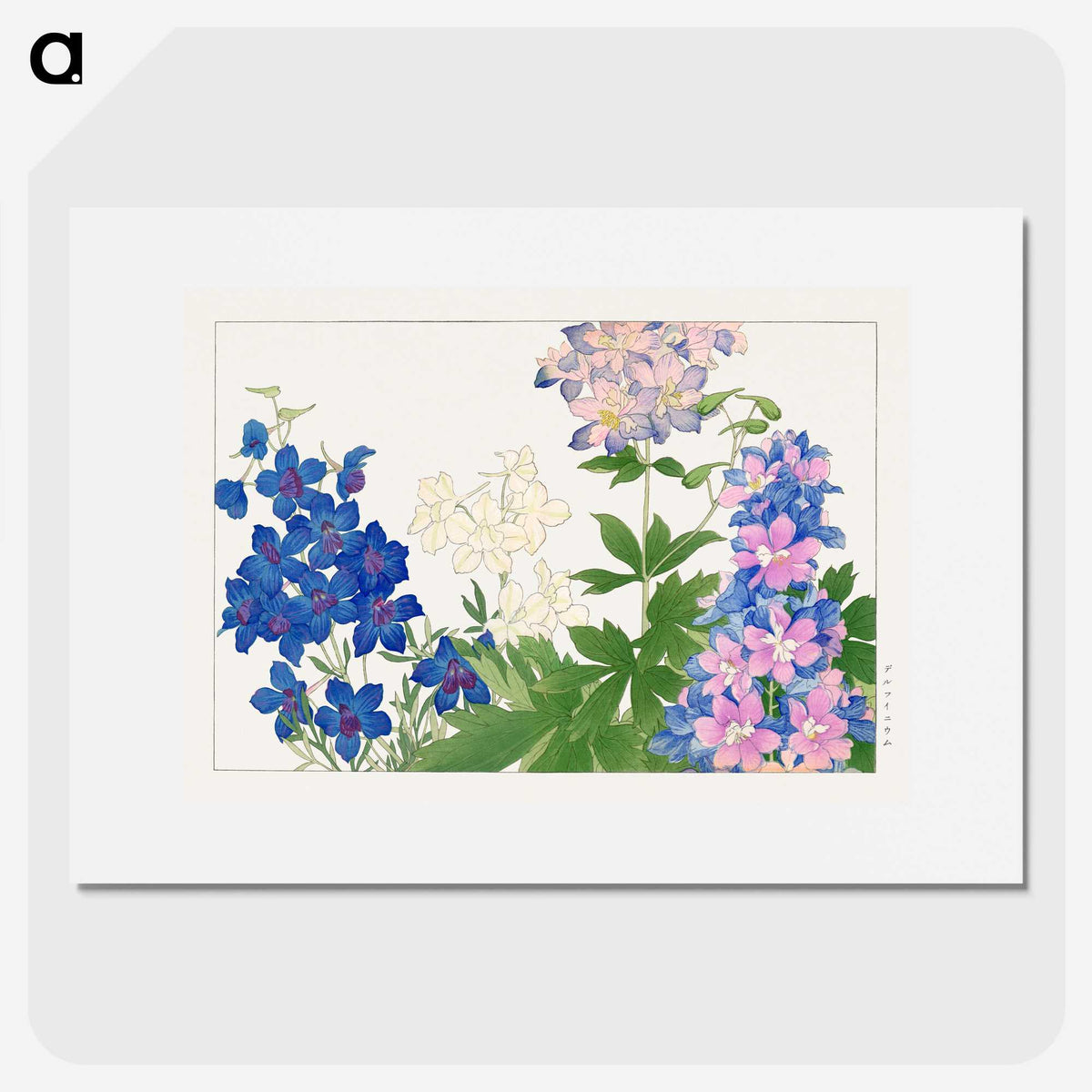 1-12_Seiyo-Soka-Zufu_picture