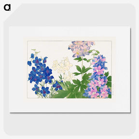 1-12_Seiyo-Soka-Zufu_picture