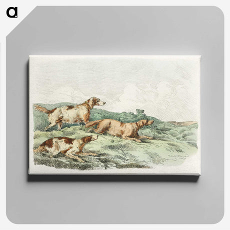 1-12_Sporting-Sketches_canvas