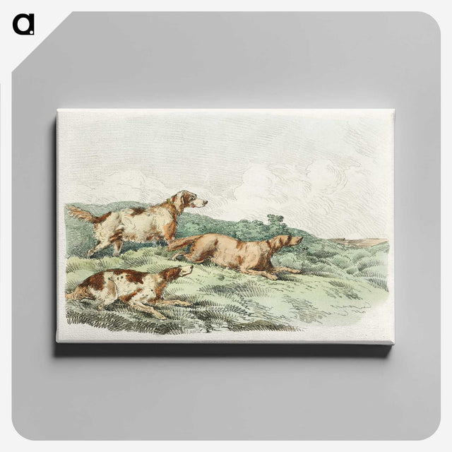 1-12_Sporting-Sketches_canvas