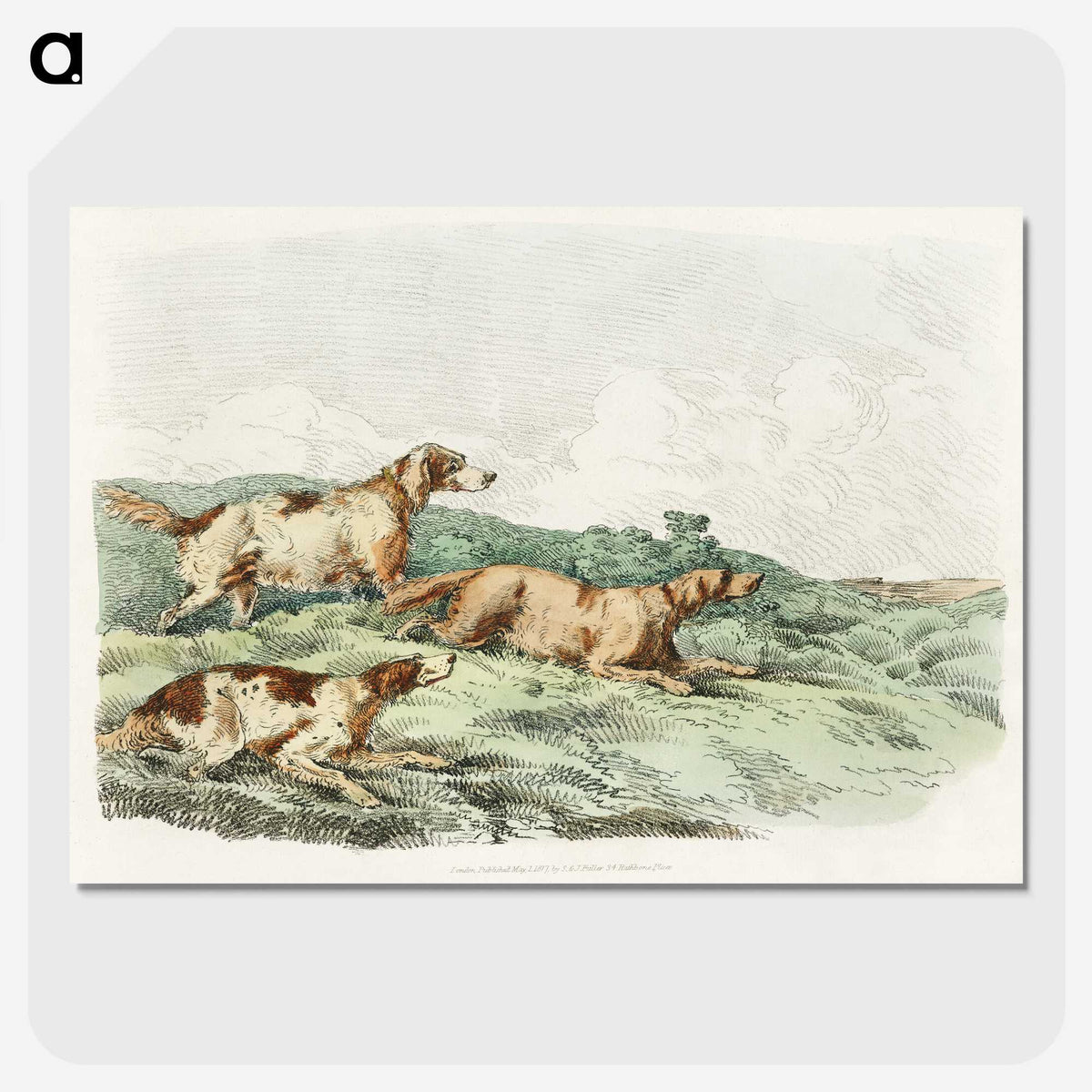 1-12_Sporting-Sketches_picture-crop