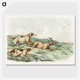 1-12_Sporting-Sketches_picture-crop