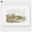 1-12_Sporting-Sketches_picture