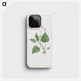 1-12_Stirpes-Novae_phone